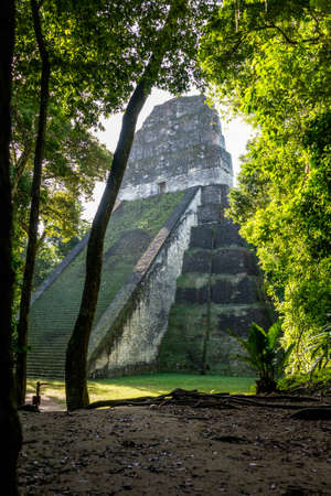 View of Mayan historic building at Tikal Jungle. Guatemala.の素材 [FY31037764208]