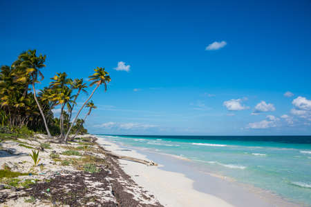 Beautiful ocean at caribbean destination, traveling Mexico. Central America.の写真素材