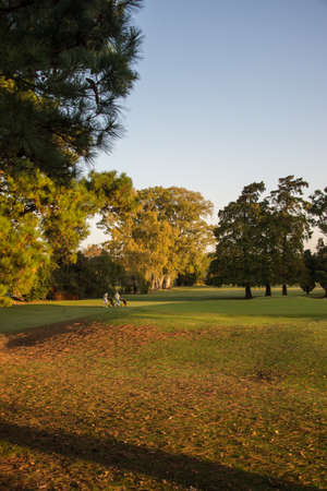 Senior Couple Playing Golf at a Beautiful Golf Course. Season Autumn.の写真素材