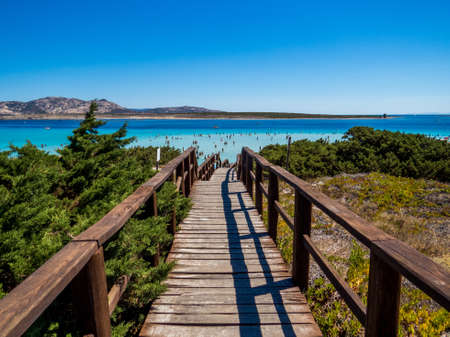 Way to paradise - Pathway leading to the amazing turquoise waters of La Pelosa Beach in Stintino, Sardinia, Italyの写真素材