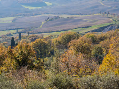 Amazing landscape in Val d'Orcia, Tuscany, Italyの写真素材