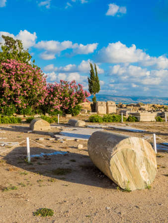 Ancient Roman ruins in Tyre, Lebanonの写真素材