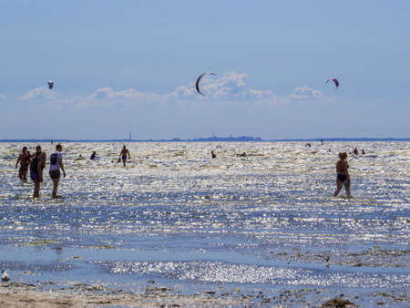 Sestroretsk, Russia - June 24, 2020: People on the beach of Sestroretsk, near St. Petersburg.のeditorial素材