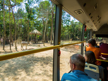 PHU QUOC, VIETNAM - FEBRUARY 12, 2018: People looking at zebras from the bus of the Vinpearl Safari zoo park.のeditorial素材