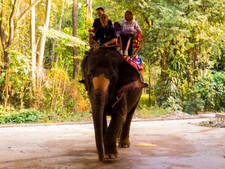SRI RACHA, THAILAND - JANUARY 13, 2019: Elephant riding in Sriracha Tiger Zoo.のeditorial素材