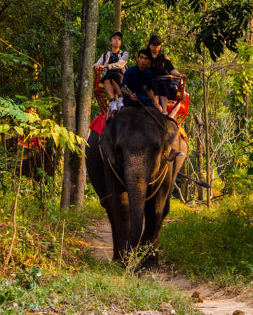 SRI RACHA, THAILAND - JANUARY 13, 2019: Elephant riding in Sriracha Tiger Zoo.のeditorial素材