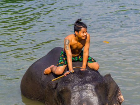 Kanchanaburi, Thailand - January 4, 2020: Elephant trainer in the Mahawangchang Elephant Camp.のeditorial素材