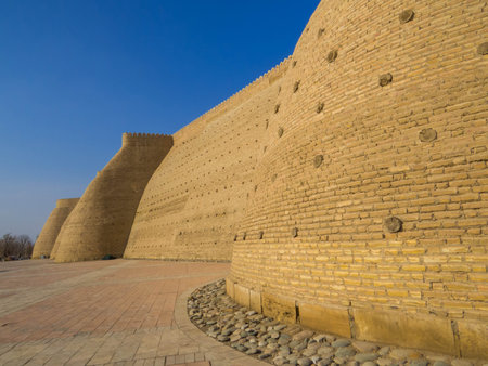 View of the Ark of Bukhara in Uzbekistan