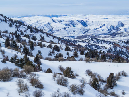 View of the Chimgan Mountains in Uzbekistanの写真素材
