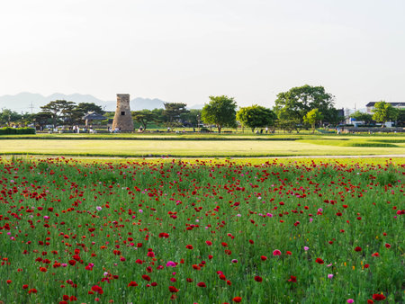 View of the Cheomseongdae Observatory. In Gyeongju, South Korea