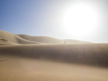 Landscape in Hongor Sand Dunes, Gobi Desert, Mongoliaの写真素材