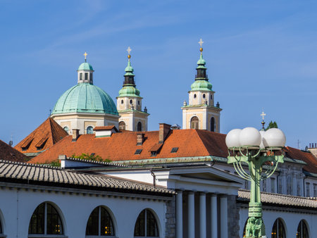View of the Saint Nicholas Cathedral in Ljubljana, Sloveniaの写真素材