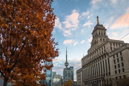 Buildings in Downtown Toronto with CN Tower and Autumn vegetation - Toronto, Ontario, Canadaの写真素材