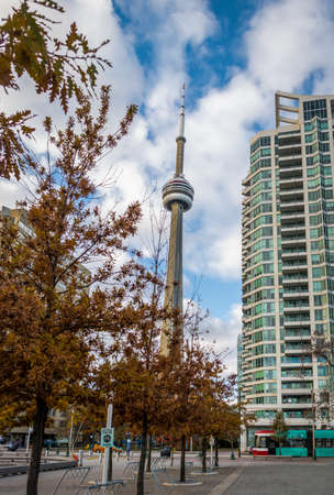 Buildings in Downtown Toronto with CN Tower and Autumn vegetation - Toronto, Ontario, Canadaの写真素材