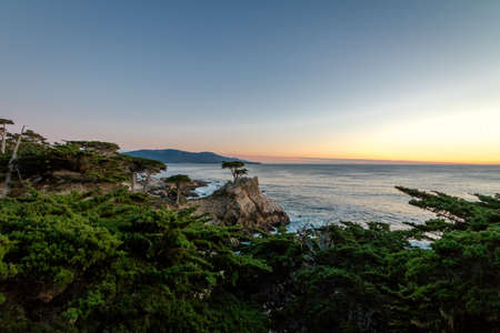 Lone Cypress tree view at sunset  along famous 17 Mile Drive - Monterey, California, USAの写真素材