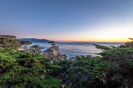 Lone Cypress tree view at sunset  along famous 17 Mile Drive - Monterey, California, USAの写真素材