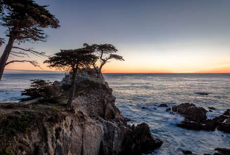Lone Cypress tree view at sunset  along famous 17 Mile Drive - Monterey, California, USAの写真素材