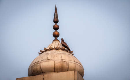 Bird on a spire of Red Fort, Delhi - Indiaの写真素材