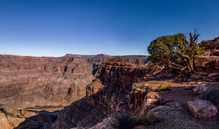 Panoramic view of Grand Canyon West Rim - Arizona, USAの写真素材