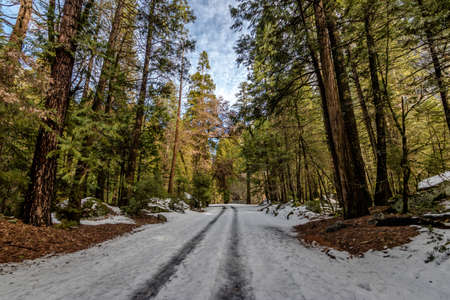 Road covered with snow at winterの写真素材