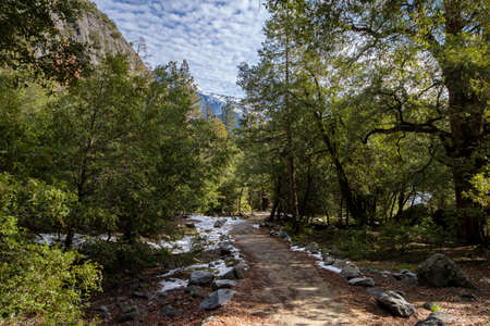 Hiking trail in the woods during winter - Yosemite National Park, California, USAの写真素材