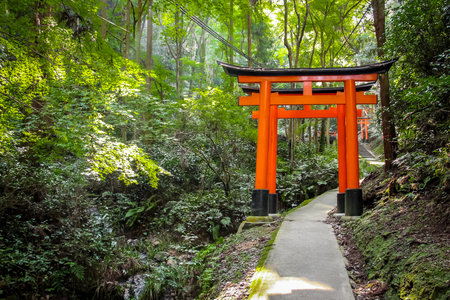 Torii gates in Fushimi Inari Shrine - Kyoto, Japanのeditorial素材