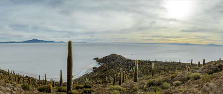 Panoramic view of Incahuasi Cactus Island in Salar de Uyuni salt flat - Potosi Department, Boliviaの写真素材