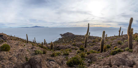 Panoramic view of Incahuasi Cactus Island in Salar de Uyuni salt flat - Potosi Department, Boliviaの写真素材
