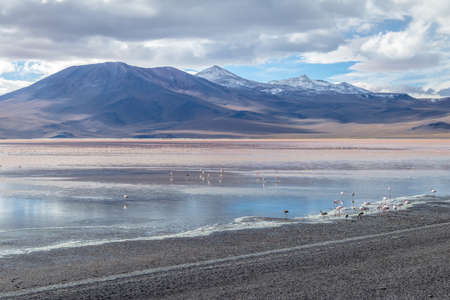 Laguna Colorada (Red Lagoon) in Bolivean altiplano - Potosi Department, Boliviaの写真素材