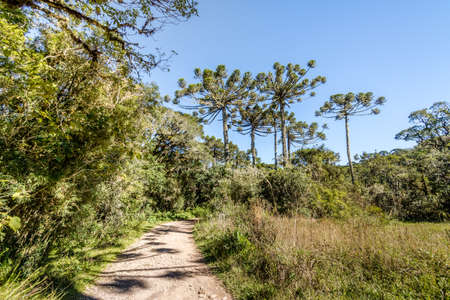 Hiking Trail of Itaimbezinho Canyon at Aparados da Serra National Park - Cambara do Sul, Rio Grande do Sul, Brazilの写真素材