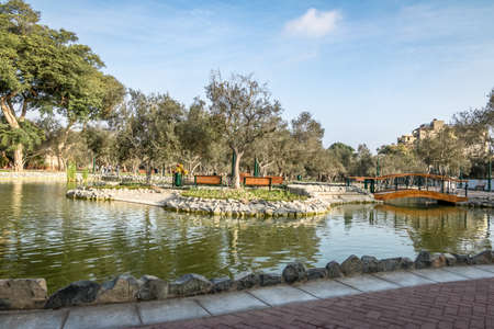Olive Grove Park (or El Olivar Forest) in San Isidro district - Lima, Peruの写真素材