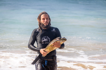Scientific Capture of Sea Turtles, measurement and data collection by Tamar Project (Tamar Project) at Boldro Beach Beach - Fernando de Noronha, Pernambuco, Brazilのeditorial素材