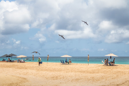 Magnificent Frigatebird (Fregata magnificens) flying over people at Conceicao Beach - Fernando de Noronha, Pernambuco, Brazilのeditorial素材