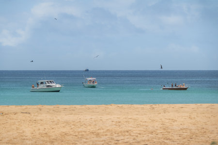 Magnificent Frigatebird (Fregata magnificens) flying over a boat at Praia da Conceicao Beach - Fernando de Noronha, Pernambuco, Brazilのeditorial素材