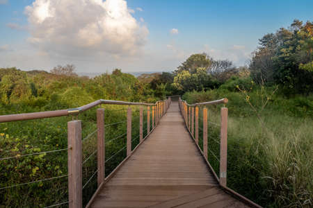Access Boardwalk to Baia dos Golfinhos (Dolphins Bay) - Fernando de Noronha, Pernambuco, Brazilの写真素材