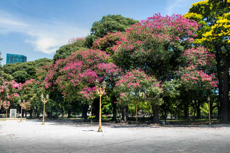 General San Martin Plaza in Retiro - Buenos Aires, Argentinaの写真素材