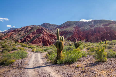 Quebrada de la Senorita desertic valley in Uquia Village at Quebrada de Humahuaca - Uquia, Jujuy,...