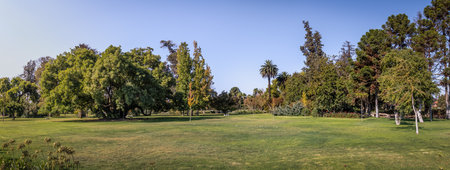 Undurraga Vineyard - Santiago, Chileのeditorial素材