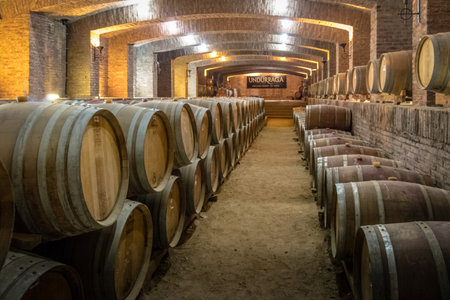 Undurraga Vineyard - Santiago, Chile