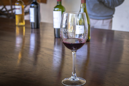 Glass of wine at Undurraga Vineyard - Santiago, Chileのeditorial素材