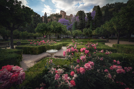 Flowers at Pedro Luis Alonso Gardens with Alcazaba Castle on background - Malaga, Andalusia, Spainのeditorial素材