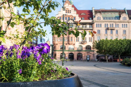 Flowers at Stortorget Square - Malmo, Swedenのeditorial素材