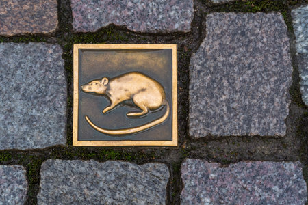 Hamelin, Germany - Nov 28, 2019: Metal Rat tile among paving stones on the streets of Hamelin - reference to the pied pipers tale - Hamelin, Lower Saxony, Germanyのeditorial素材