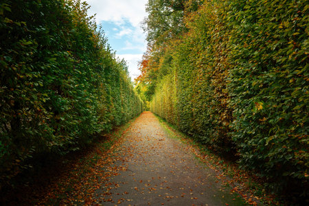 Green Corridor at Cesky Krumlov Castle Garden - Cesky Krumlov, Czech Republicの写真素材