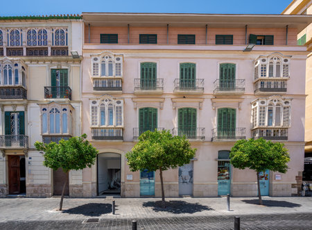 Malaga, Spain - May 20, 2019: Fundacion Picasso - Pablo Picasso Birthplace Building - Malaga, Andalusia, Spainのeditorial素材