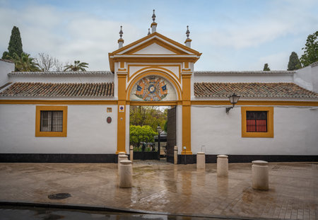 Seville, Spain - Apr 7, 2019: Main gate of Las Duenas Palace (Palacio de las Duenas) - Seville, Andalusia, Spainのeditorial素材
