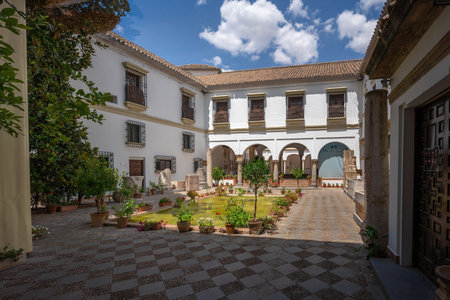 Cordoba, Spain - Jun 12, 2019: Archaeological and Ethnological Museum of Cordoba Courtyard - Cordoba, Andalusia, Spainのeditorial素材