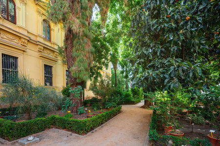 Botanical Garden of the University of Granada (Jardin Botanico) - Granada, Andalusia, Spainの写真素材