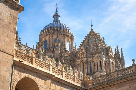 Salamanca Old and New Cathedral Towers - Salamanca, Spainの写真素材
