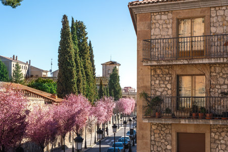 Carmen de Abajo Church - Salamanca, Spainの写真素材